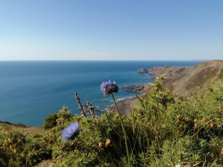 Kiberick Cottage At Crackington Haven, Near Bude And Boscastle, Cornwall Esterno foto